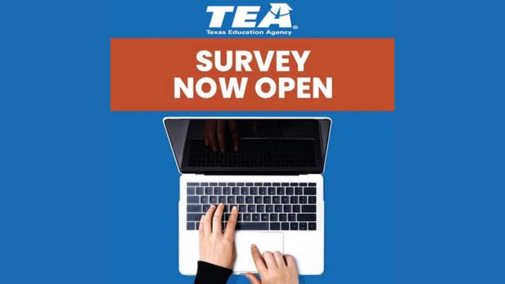 TEA Survey