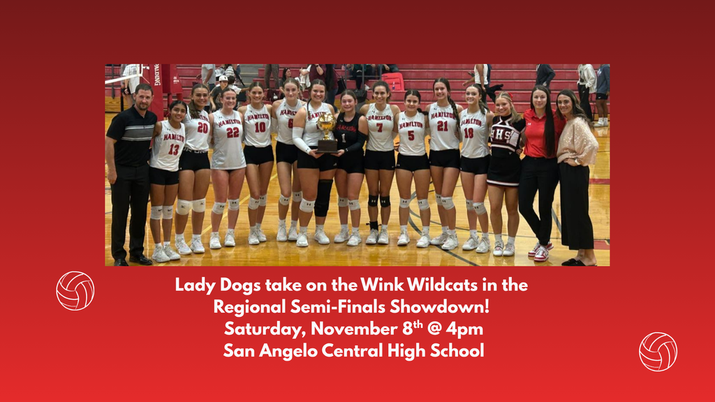 Volleyball Regional Semi Finals Post
