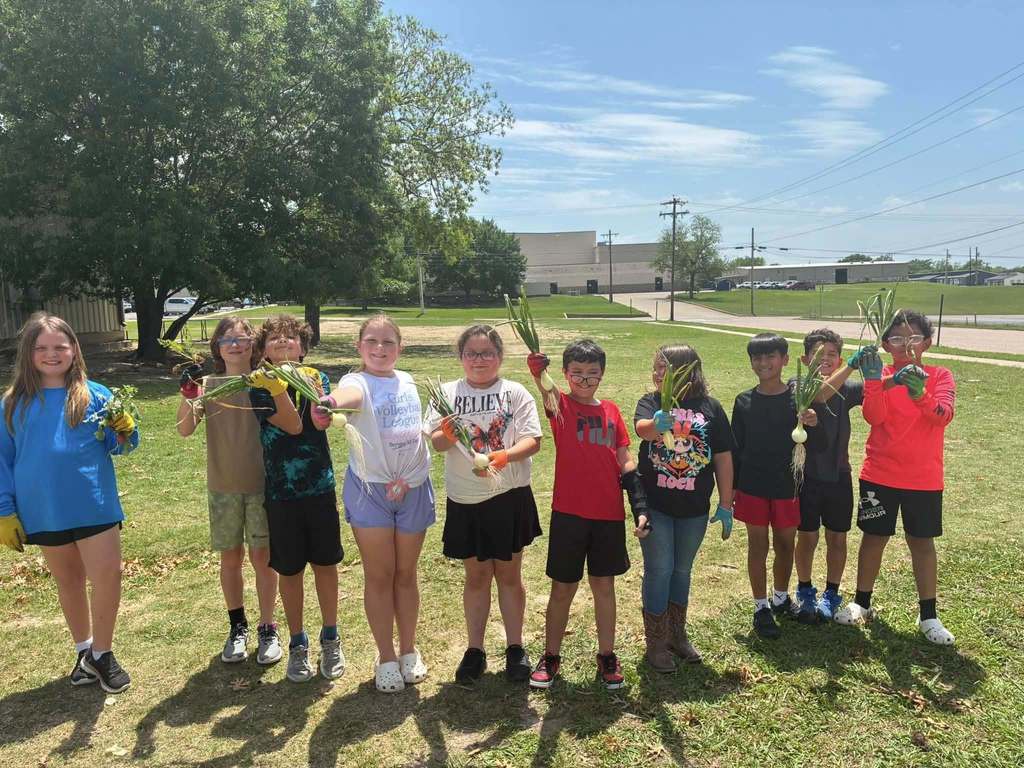 4th Graders planting 