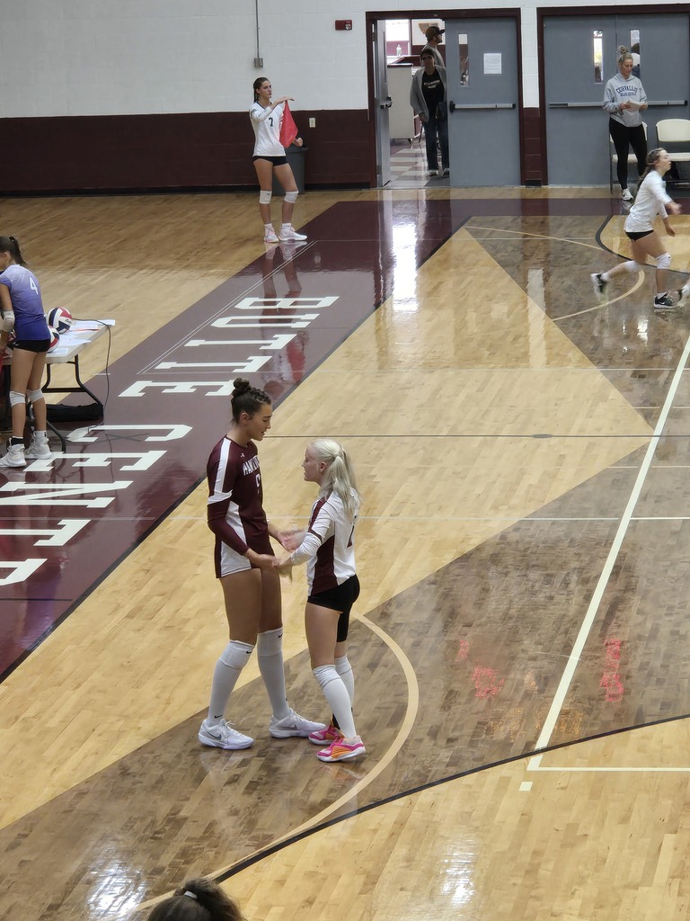 volleyball