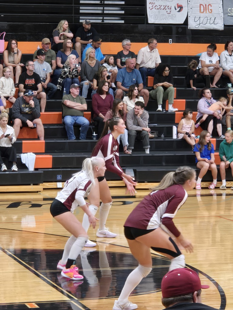 volleyball