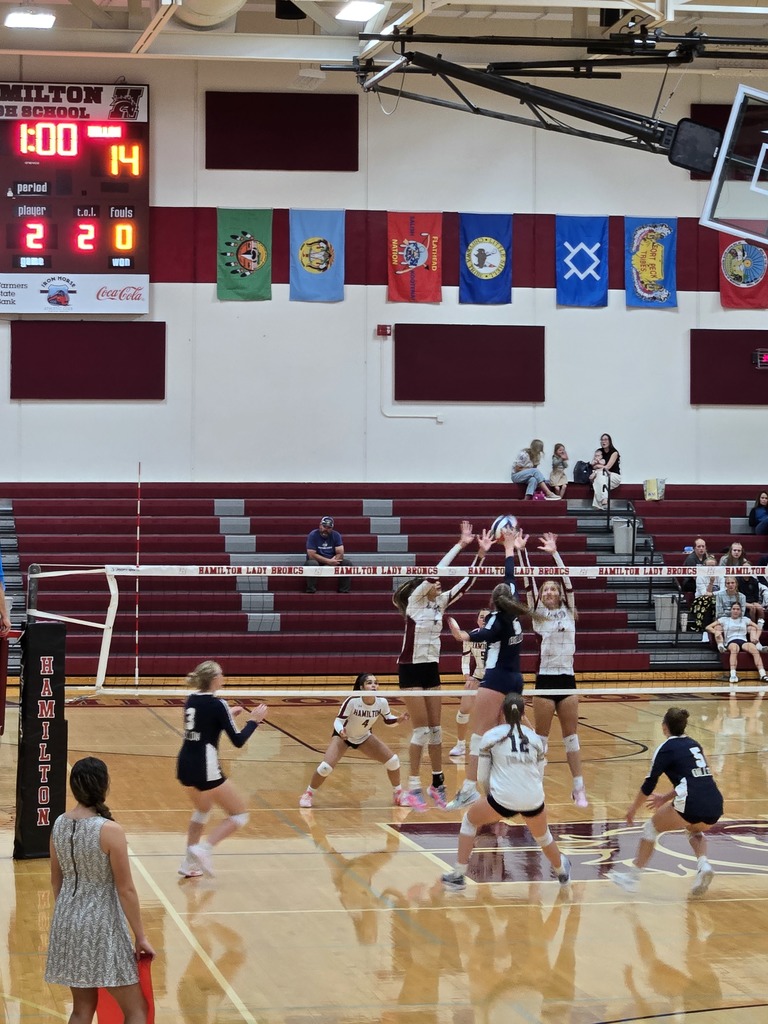volleyball