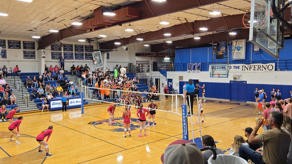 volleyball against corvallis