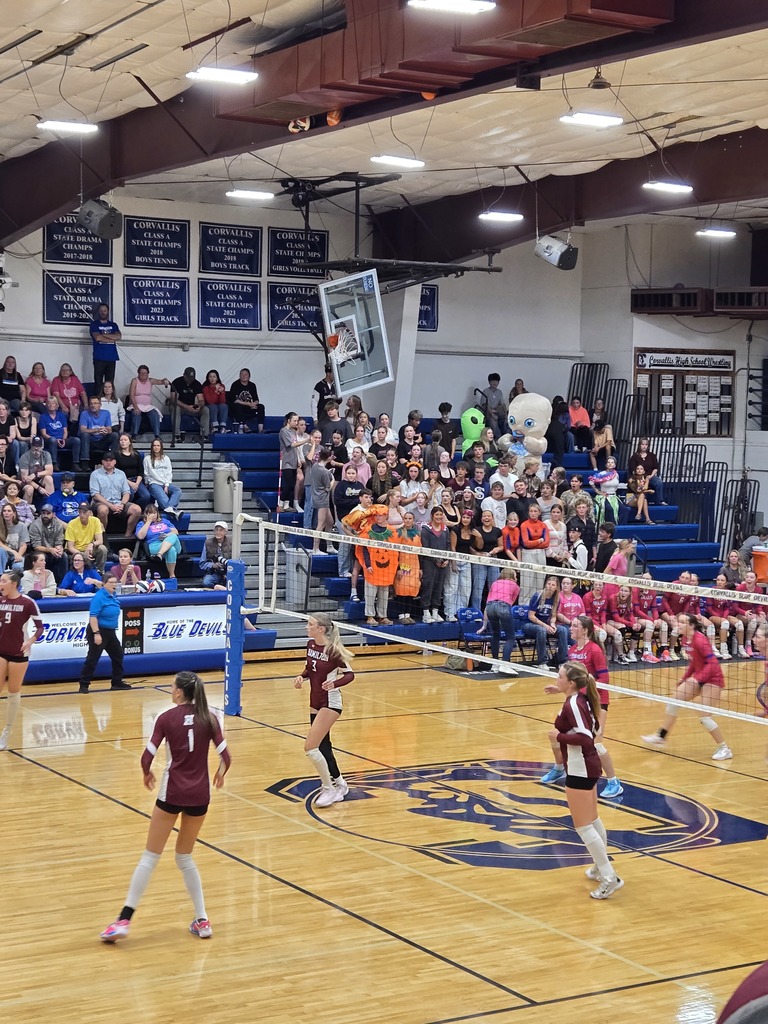 volleyball against corvallis