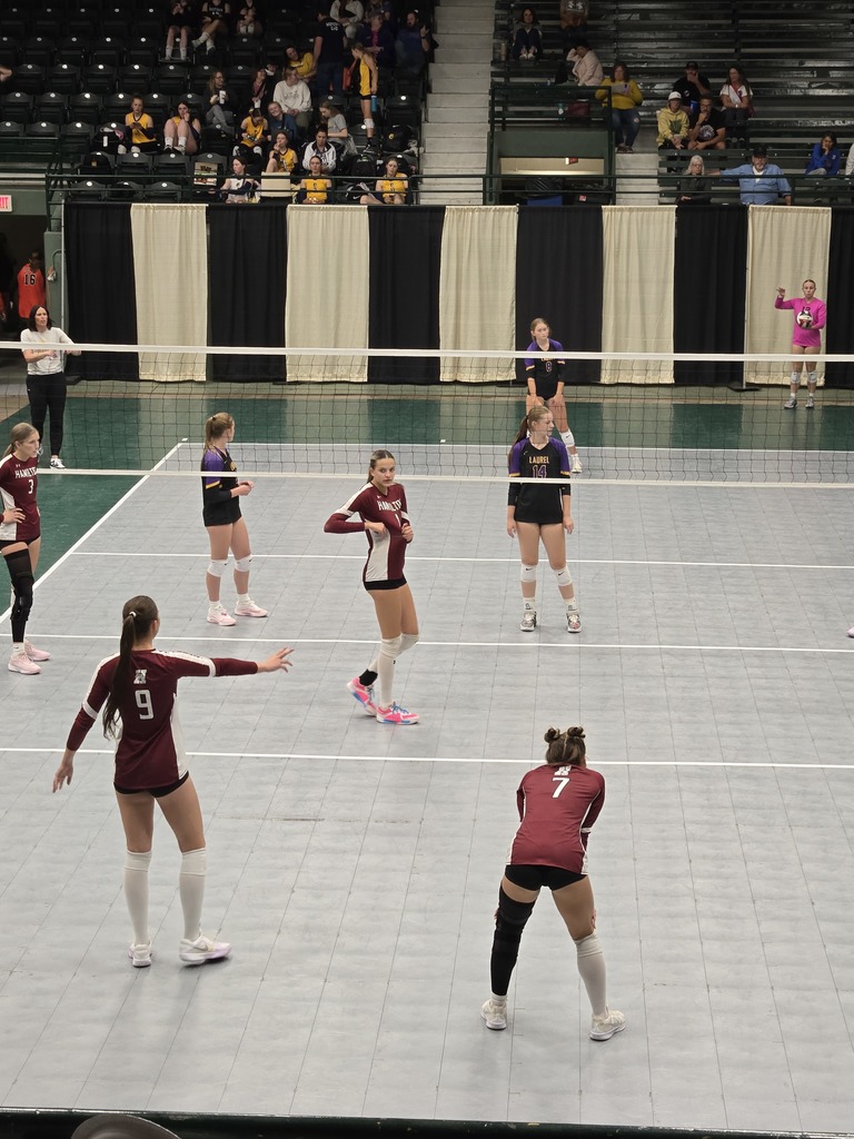 hamilton high school volleyball team