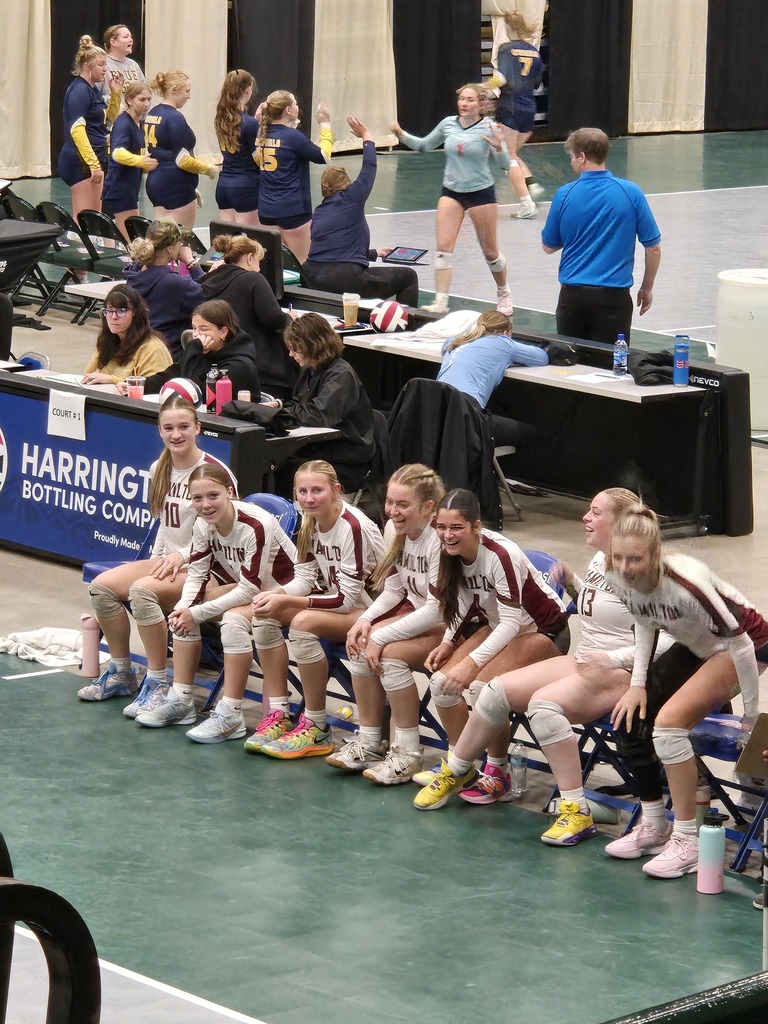 hamilton high school volleyball team