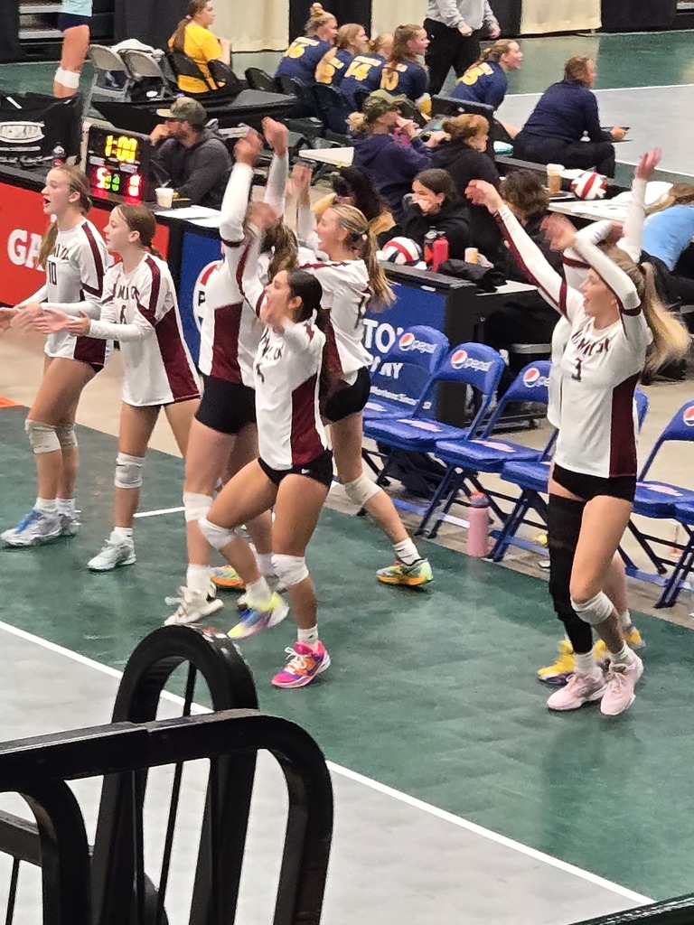 Hamilton High School volleyball team
