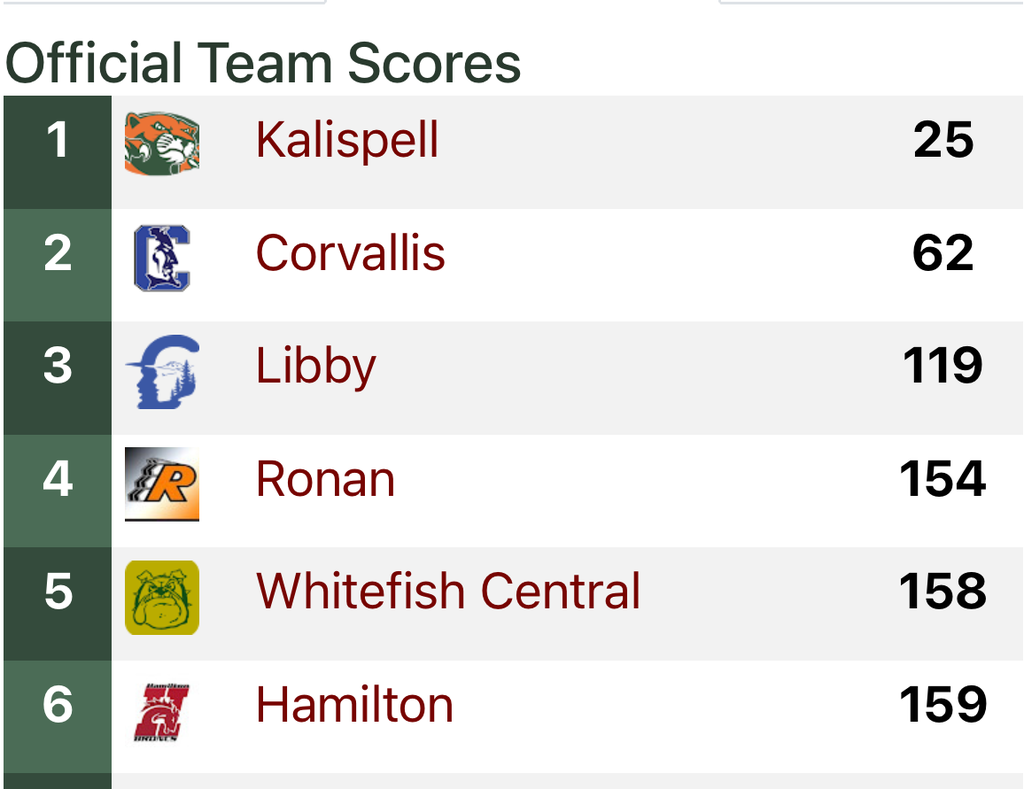 Boys cross country team scores