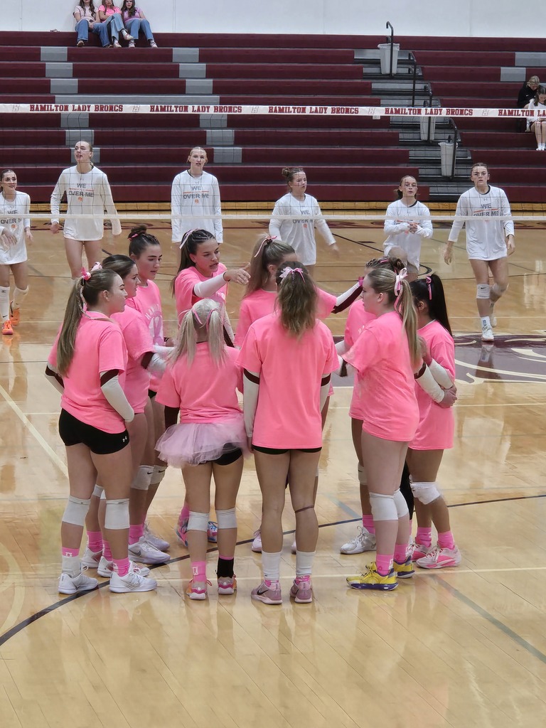 volleyball team