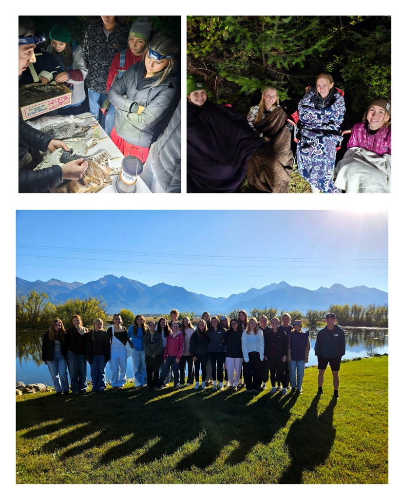 CWW owl hatchery institute