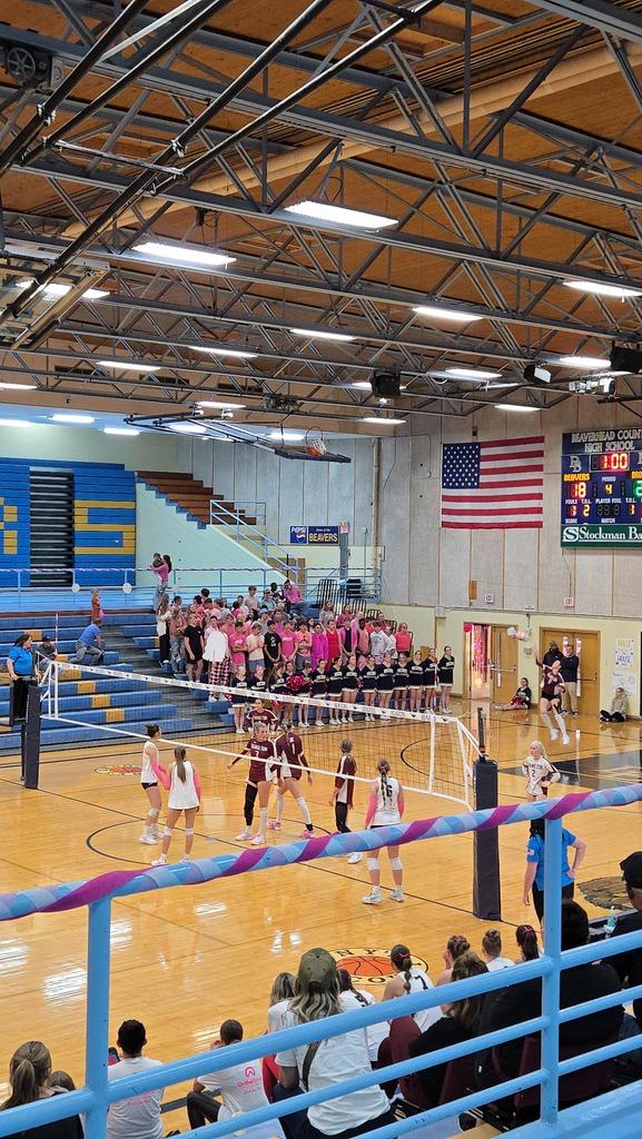 hamilton high school volleyball photo