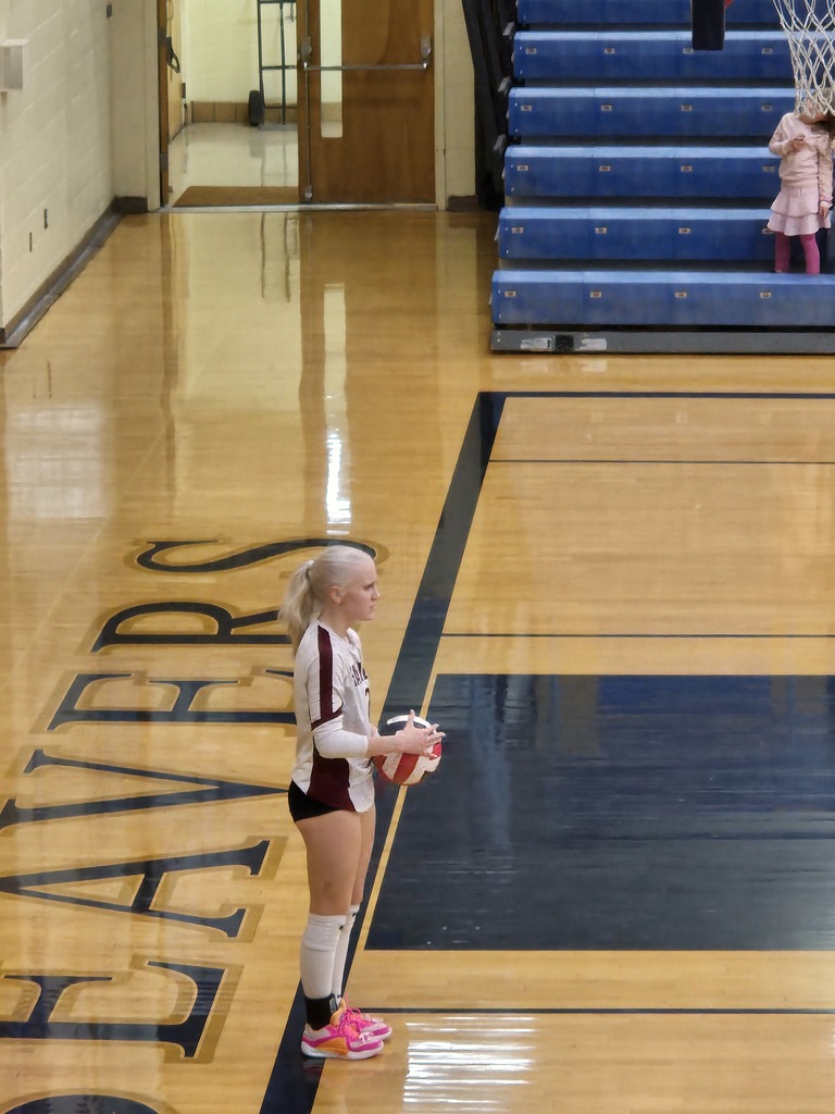 Hamilton High School volleyball team