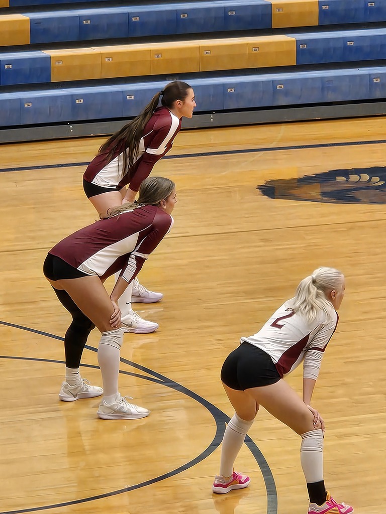 Hamilton High School volleyball team