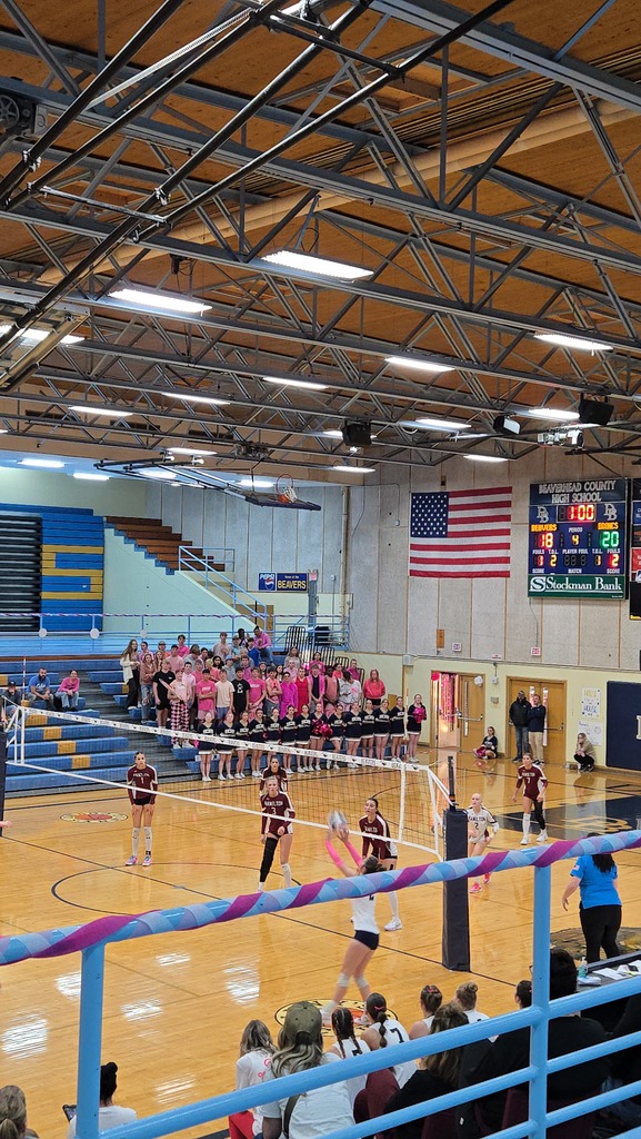 Hamilton High School volleyball team