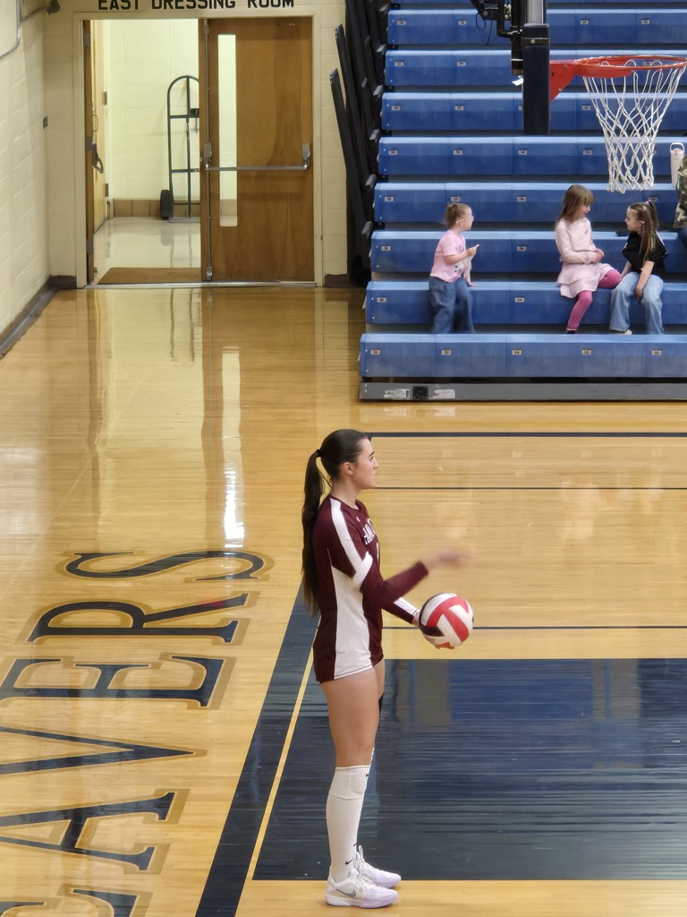 Hamilton High School volleyball team