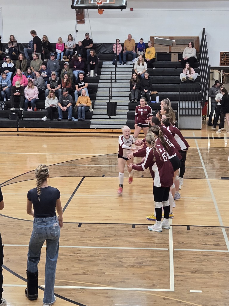 volleyball playing against Stevensville
