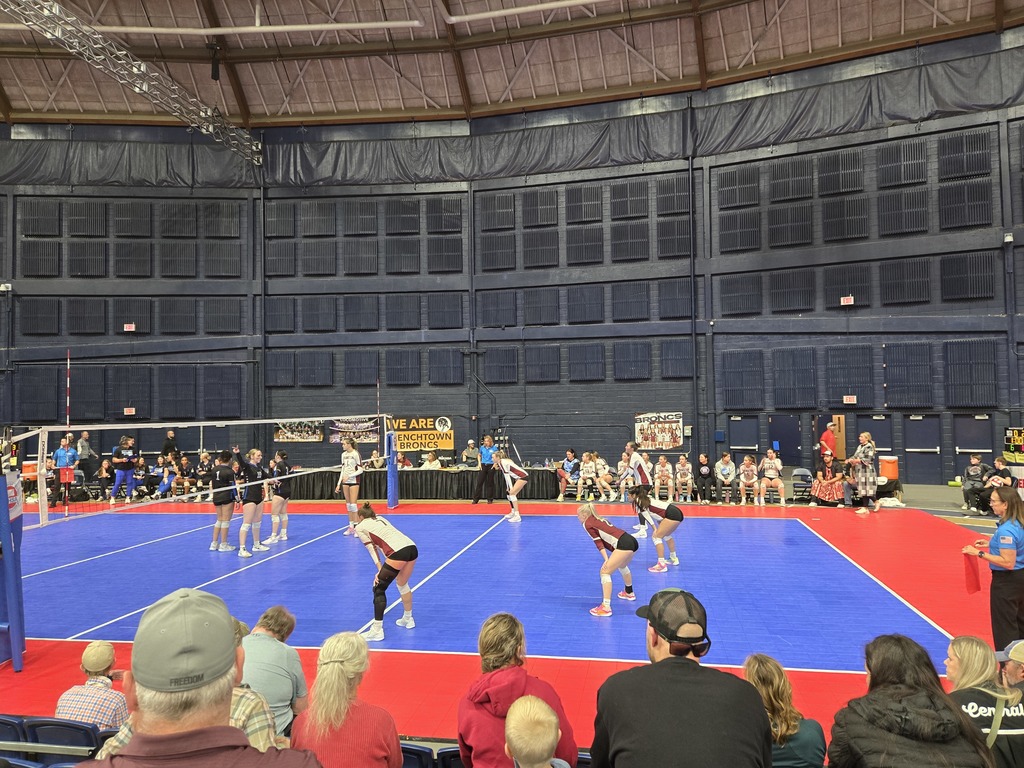 The Hamilton High School volleyball team plays against the Havre volleyball team in Match 10 of the Class A state tournament at Montana State University