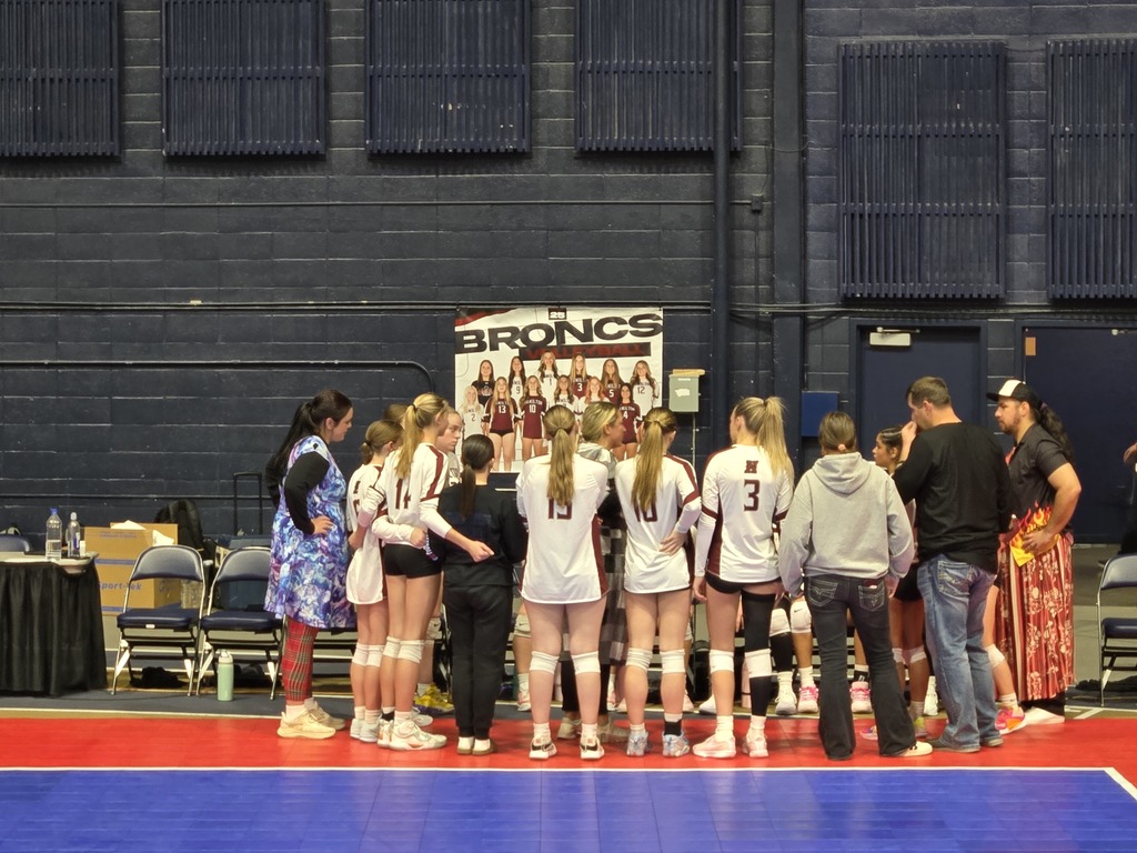 The Hamilton High School volleyball team plays against the Havre volleyball team in Match 10 of the Class A state tournament at Montana State University