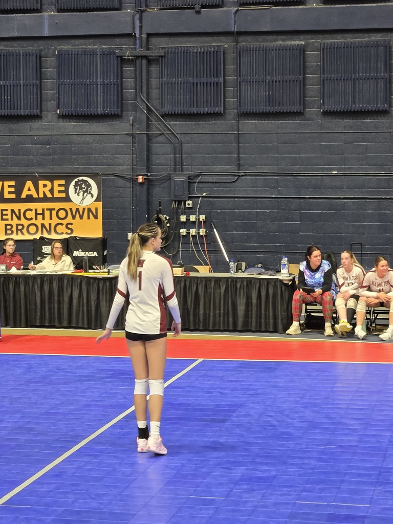 The Hamilton High School volleyball team plays against the Havre volleyball team in Match 10 of the Class A state tournament at Montana State University