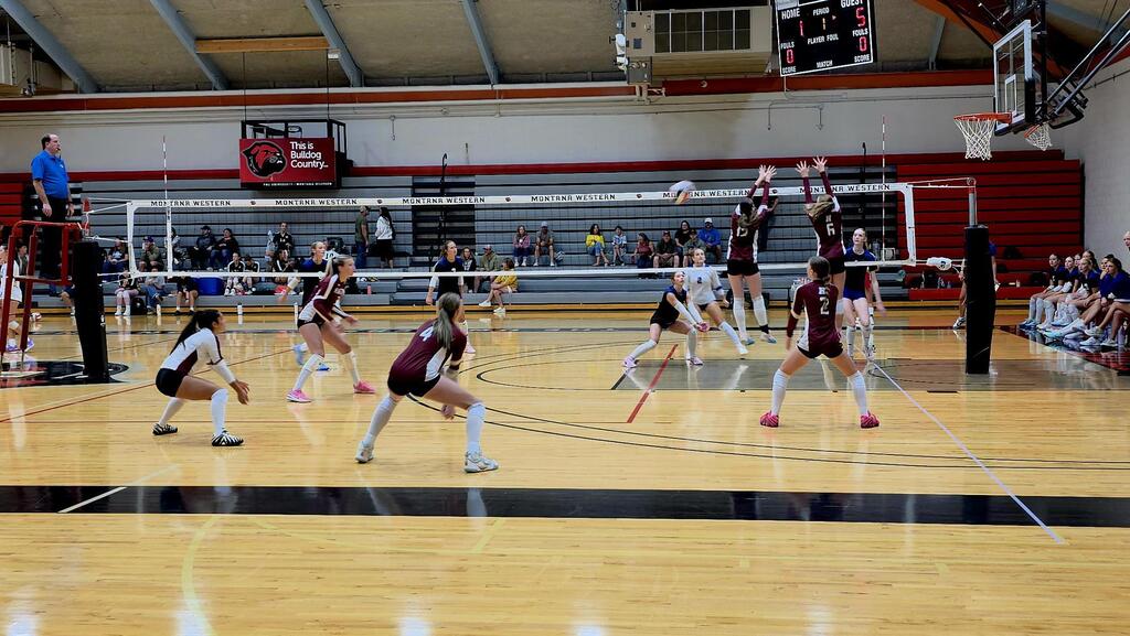 hhs volleyball team