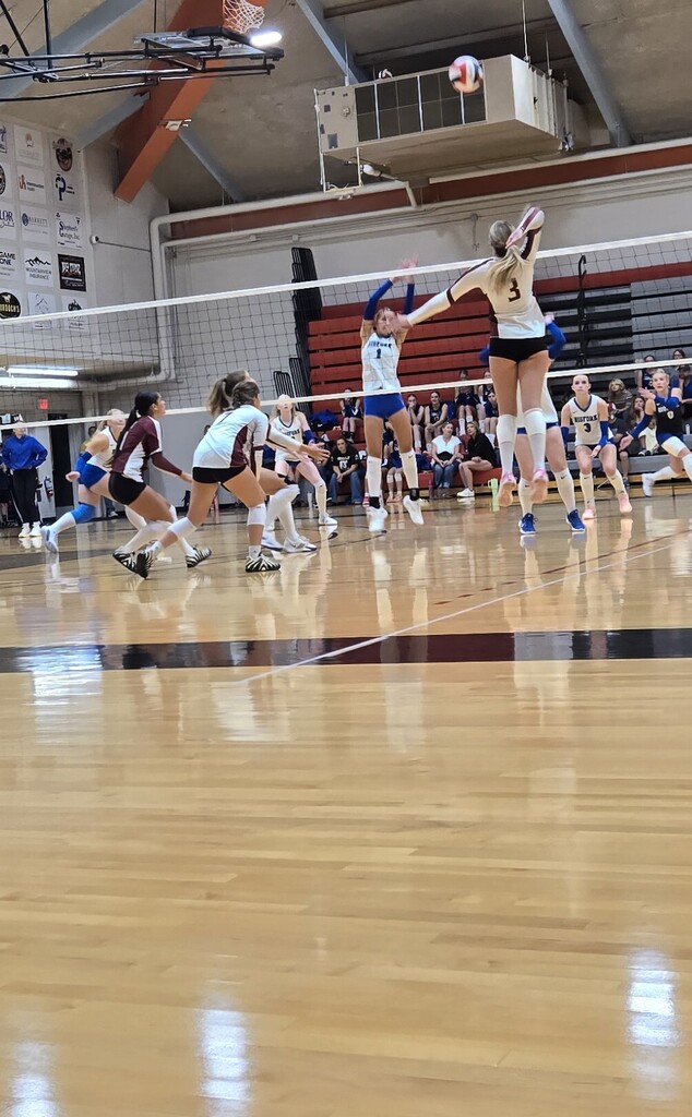 hhs volleyball team