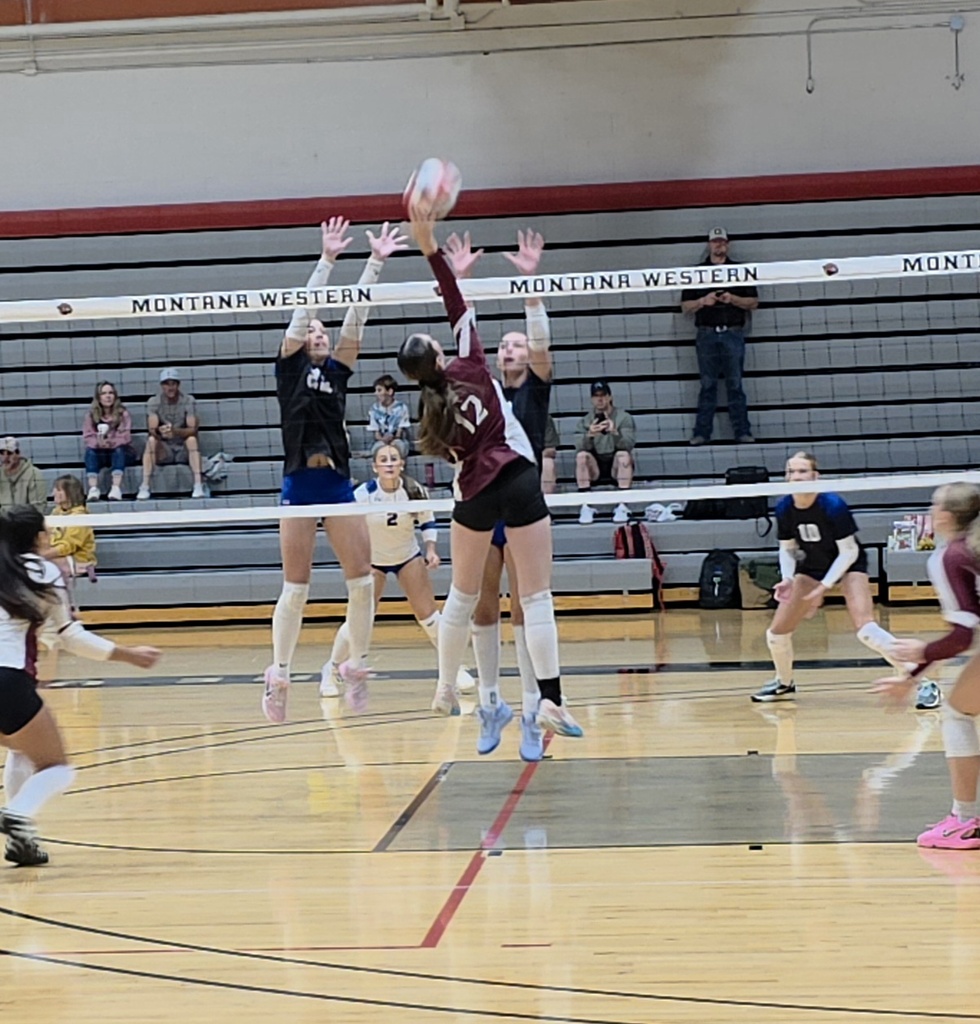 hhs volleyball team