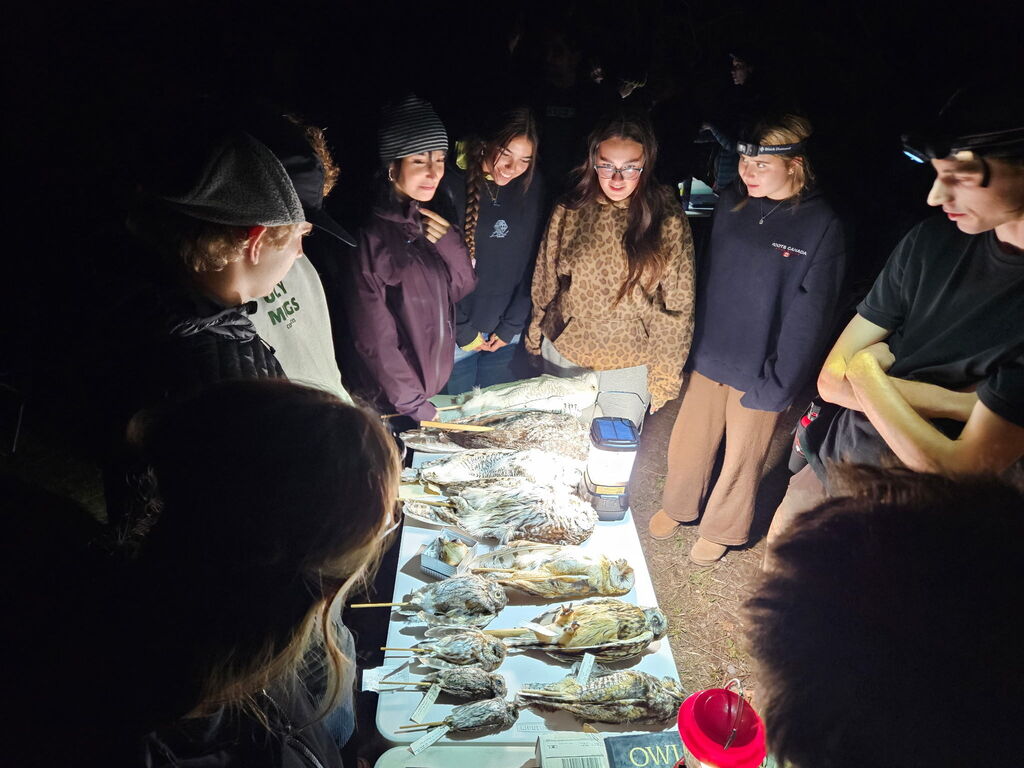 CWW owl banding field trip