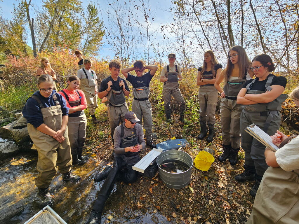 CWW owl banding field trip