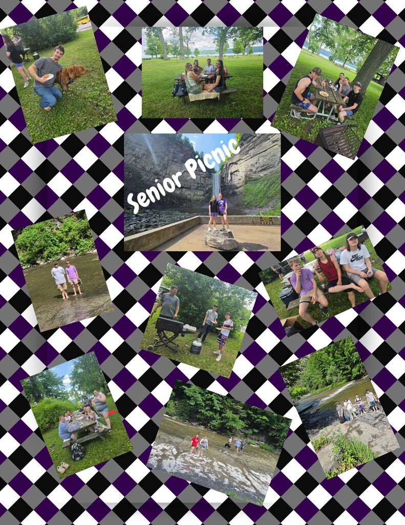 Senior Picnic
