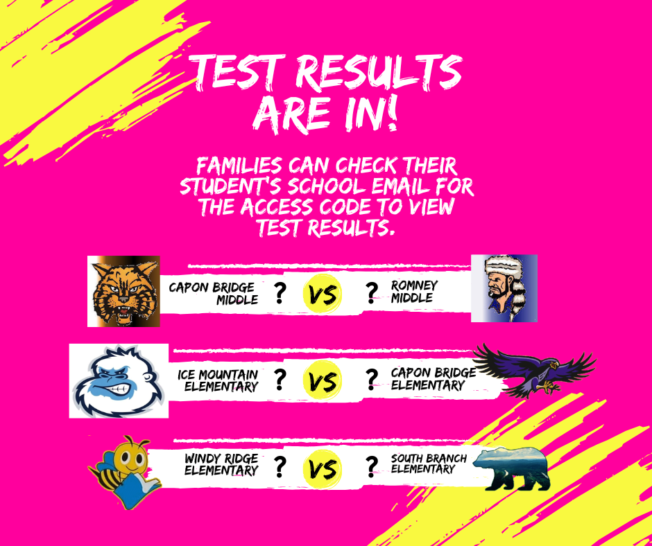 A bright pink background features the headline “Test Results Are In!” Below, it reads, “Families can check their student’s school email for the access code to view test results.” Three school matchup graphics are displayed: Capon Bridge Middle (wildcat logo) vs. Romney Middle (Native American head logo). Ice Mountain Elementary (yeti logo) vs. Capon Bridge Elementary (purple hawk logo). Windy Ridge Elementary (honeybee logo) vs. South Branch Elementary (black bear logo). Each matchup includes a yellow circle with a question mark between the schools, indicating results are pending. Yellow paint streaks add accents to the design.