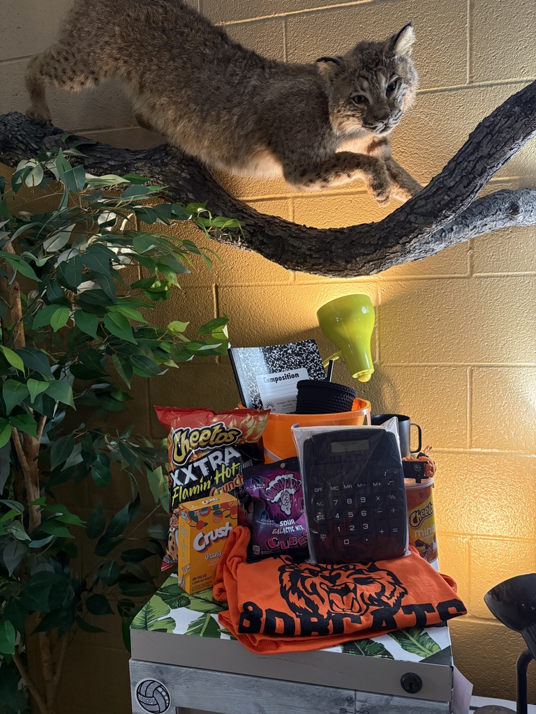 A wild bobcat is perched on a thick, twisted branch above a stack of items. The bobcat is in a crouched position, as if it's about to pounce. Below the branch, a stack of items is piled on what looks like a white box. The items include a black and white calculator, a bright orange T-shirt with a tiger-like design, several bags of chips, and a yellow cup. A green artificial plant is also visible to the left. The background is a solid yellow wall.