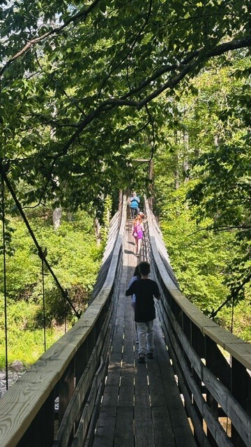A long, narrow wooden suspension bridge stretching across a lush green forest canopy. Several school-aged children are walking in a single-file line across the bridge, heading away from the camera. The bridge features high wooden railings and wire mesh siding, with overhead tree branches framing the top of the shot. Sunlight filters through the dense green leaves, creating a bright and airy atmosphere.