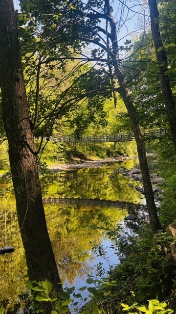 A long, narrow wooden suspension bridge stretching across a lush green forest canopy. Several school-aged children are walking in a single-file line across the bridge, heading away from the camera. The bridge features high wooden railings and wire mesh siding, with overhead tree branches framing the top of the shot. Sunlight filters through the dense green leaves, creating a bright and airy atmosphere.