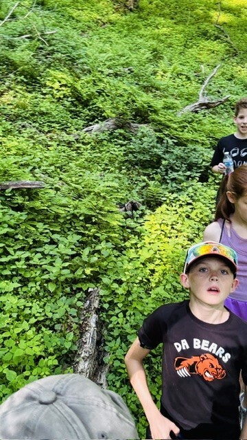 A line of students hikes along a narrow dirt trail through a wooded forest. Tall trees and green leaves surround the path as the students walk uphill in single file.
