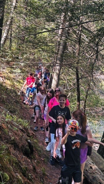 A line of students hikes along a narrow dirt trail through a wooded forest. Tall trees and green leaves surround the path as the students walk uphill in single file.