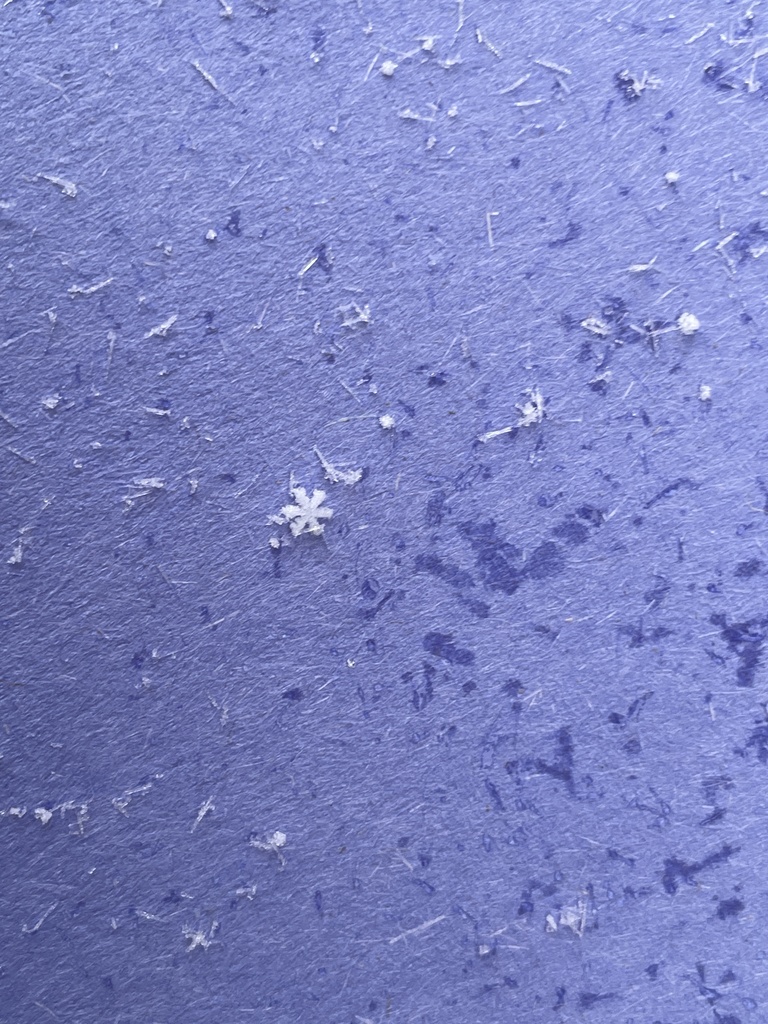 Snowflake Study 4