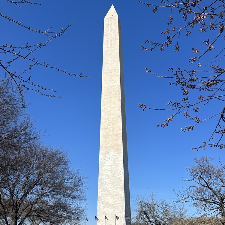 The Washington Monument