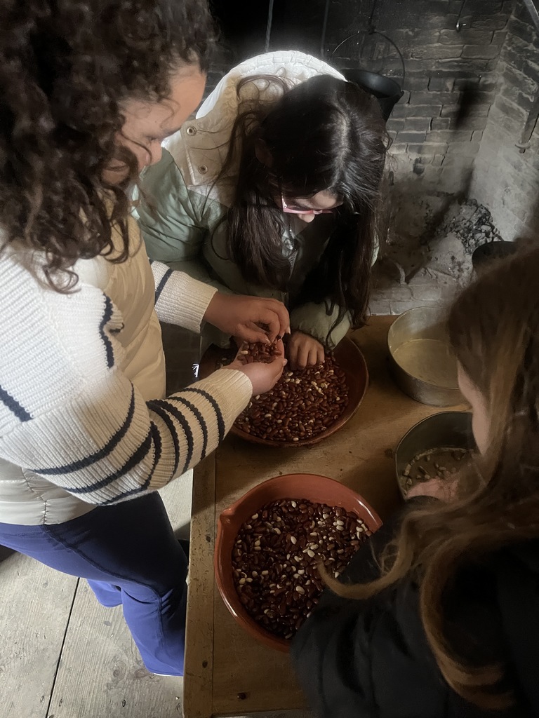 Gr 3 Strawberry Banke  1