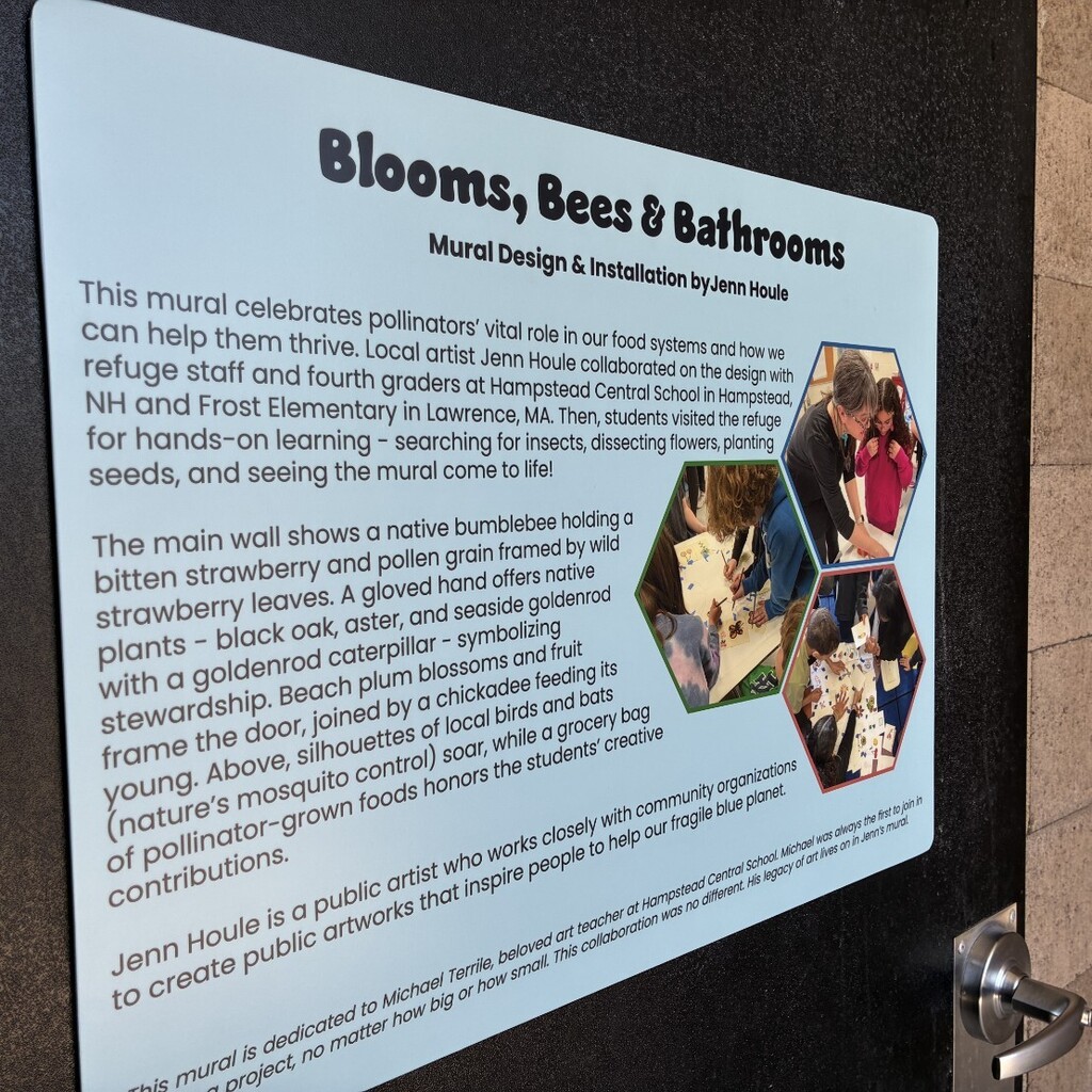 information about the mural