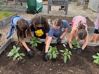 Girls on the run planting at the community garden