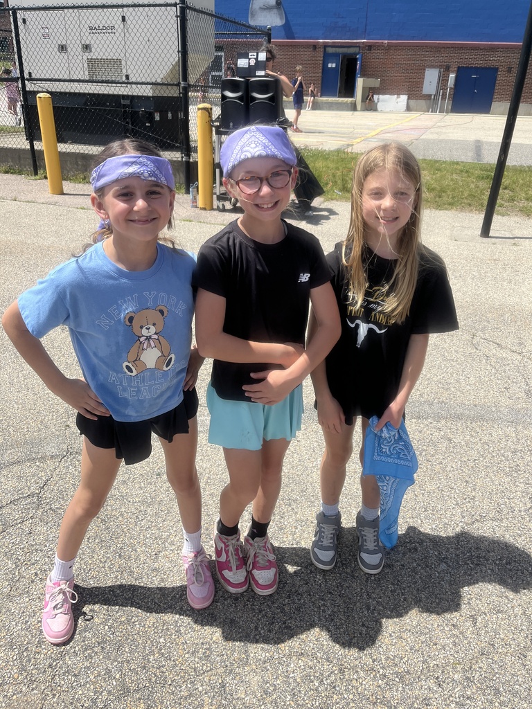 Field Day 4