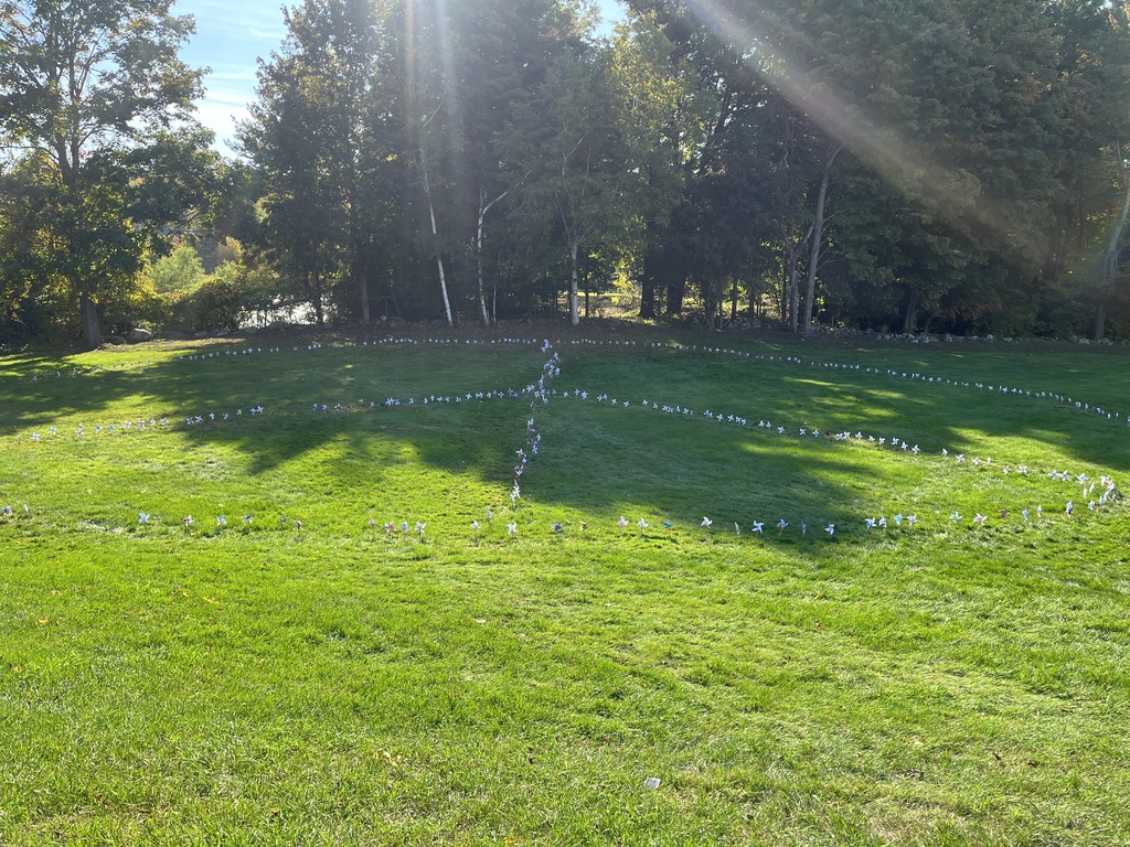Pinwheels for Peace 2