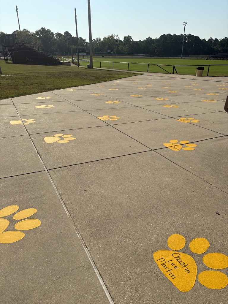 Paw the Pound
