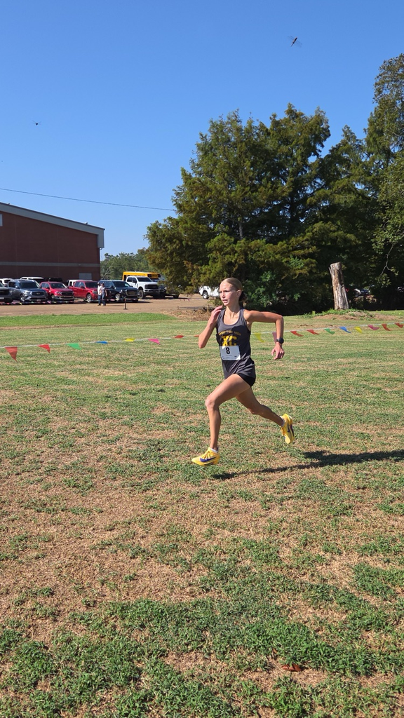 XC