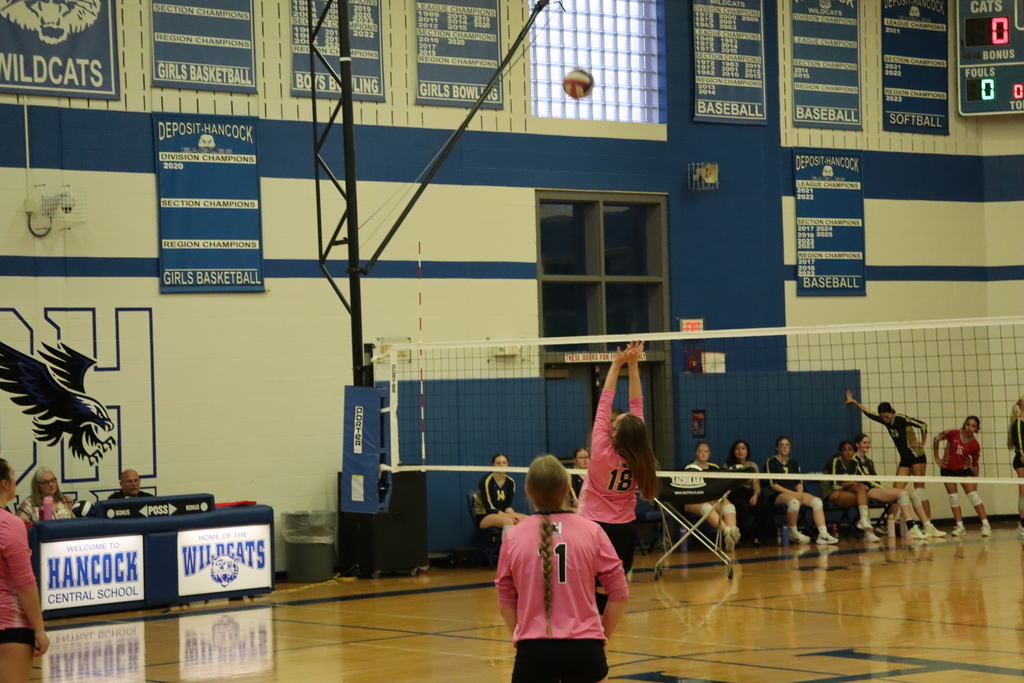 Volleyball 1