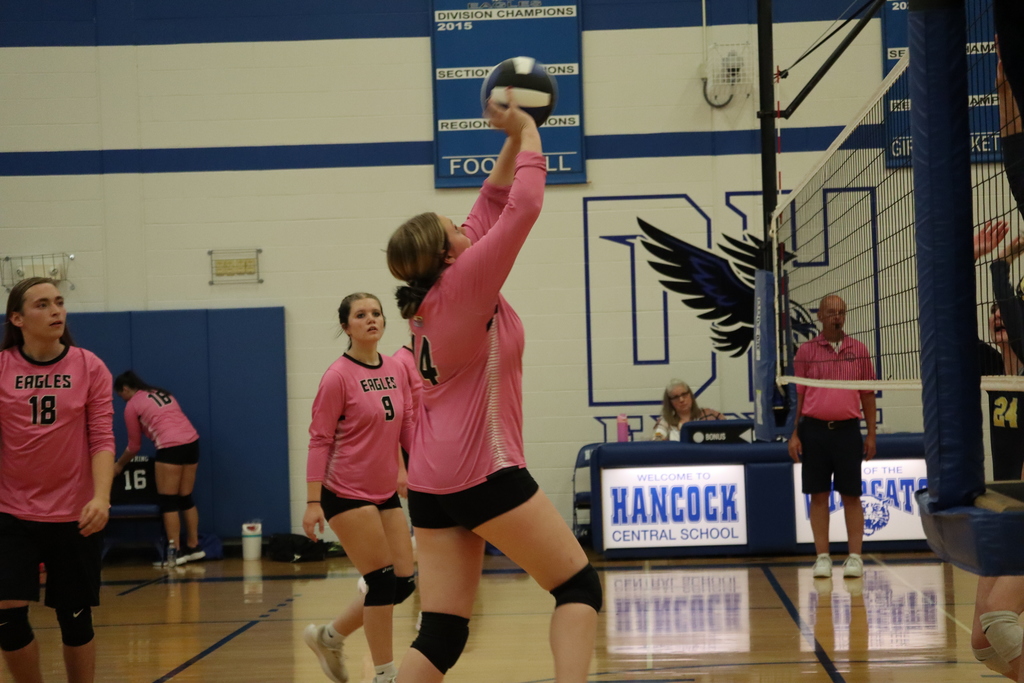 Volleyball 3