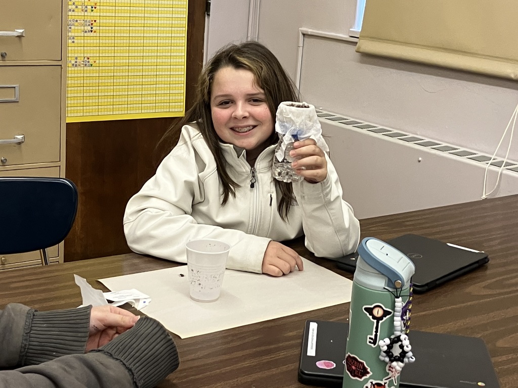 Water Filtration Experiment 2