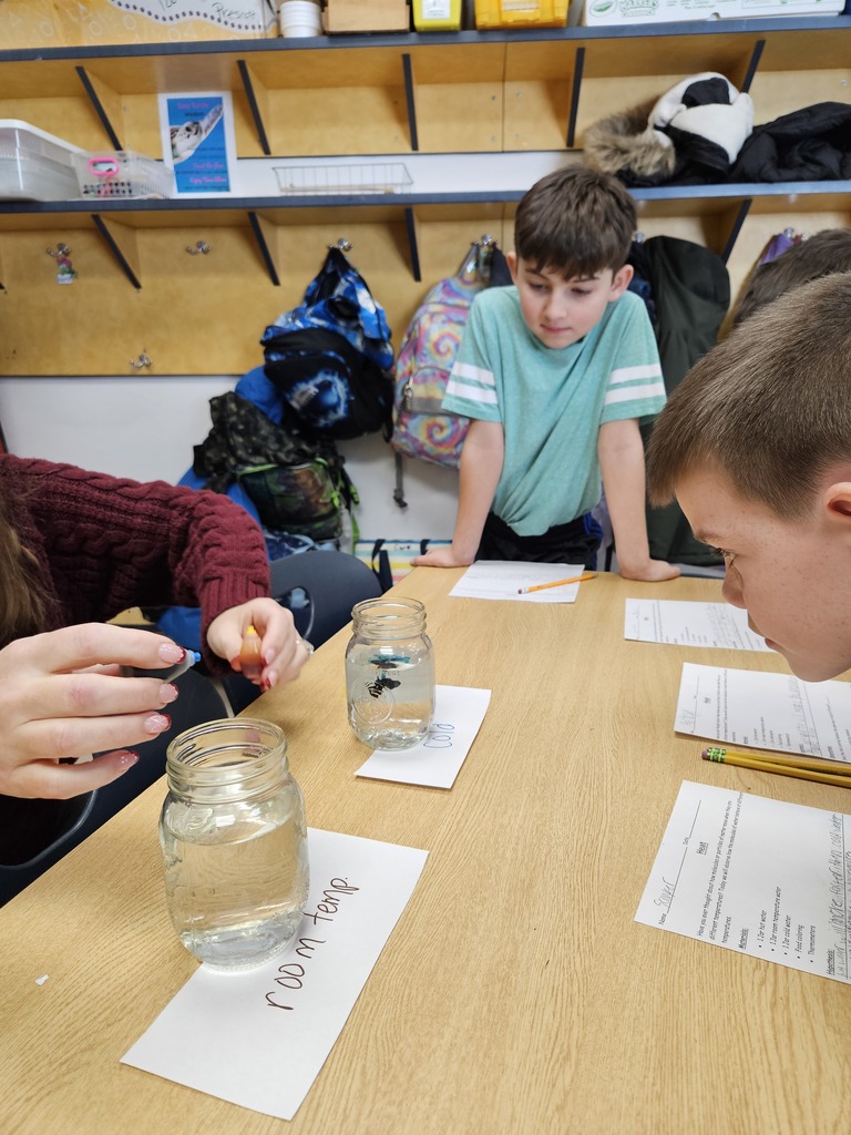 4th grade science experiment 4