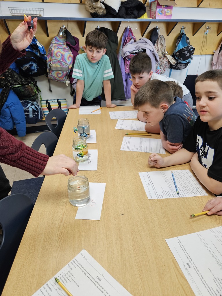 4th grade science experiment 5
