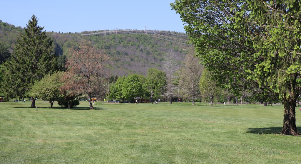Golf Sectionals - 1